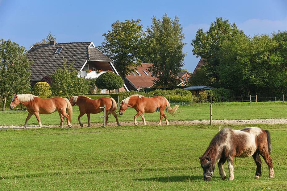 Ferienhof Zur Alten Linde Holtgast Kültér fotó